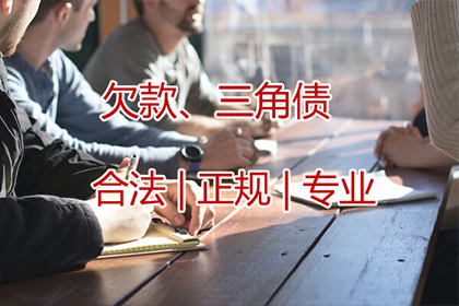阜宁催数公司